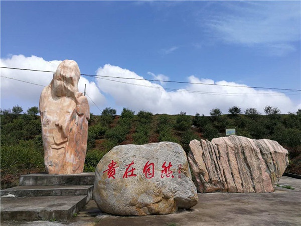 微信圖片_20200529085611.jpg